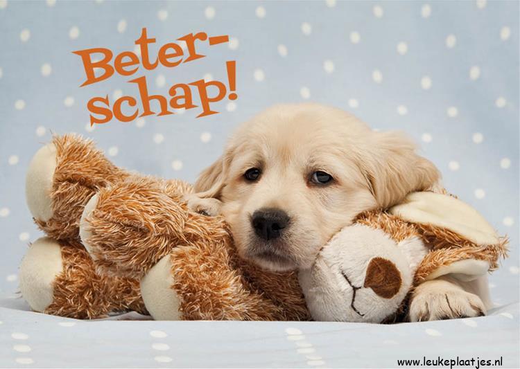 ᐅ beterschap afbeelding - Beterschap plaatjes ᐅ beterschap afbeelding - Beterschap plaatjes
