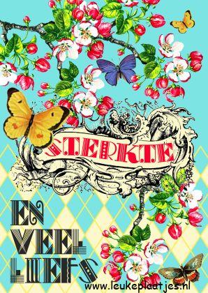 ᐅ beterschap sterkte - Beterschap plaatjes ᐅ beterschap sterkte - Beterschap plaatjes