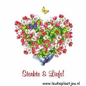 ᐅ beterschap sterkte - Beterschap plaatjes ᐅ beterschap sterkte - Beterschap plaatjes