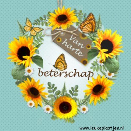 ᐅ beterschap tekst - Beterschap plaatjes