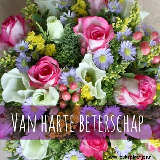 ᐅ beterschap vrouw - Beterschap plaatjes