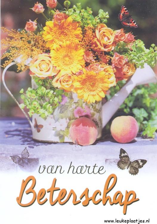 ᐅ beterschap vrouw - Beterschap plaatjes