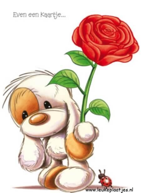 ᐅ beterschap vrouw - Beterschap plaatjes