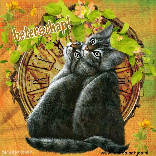 ᐅ beterschap whatsapp - Beterschap plaatjes