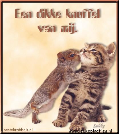 ᐅ dikke knuffel afbeelding - Knuffels Plaatjes en Gifs plaatjes ᐅ dikke knuffel afbeelding - Knuffels Plaatjes en Gifs plaatjes