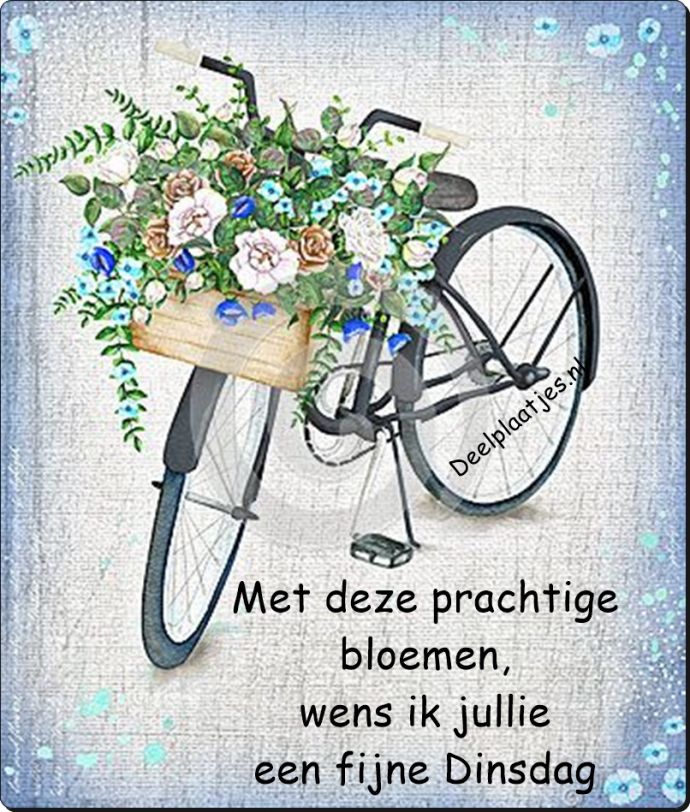 ᐅ dinsdag wensen - Dinsdag plaatjes ᐅ dinsdag wensen - Dinsdag plaatjes