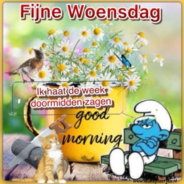 ᐅ doormidden fijne woensdag - doormidden fijne woensdag plaatjes