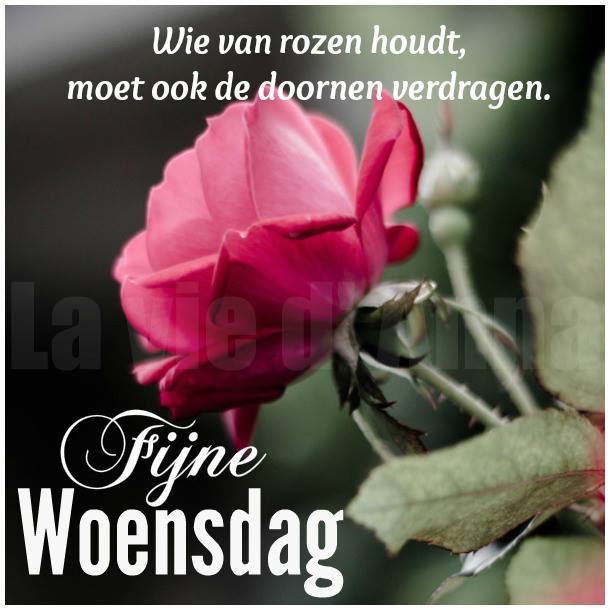 ᐅ doormidden fijne woensdag - Woensdag plaatjes