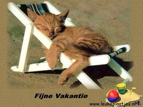 ᐅ eindelijk vakantie grappig - Vakantie Plaatjes en Gifs plaatjes ᐅ eindelijk vakantie grappig - Vakantie Plaatjes en Gifs plaatjes