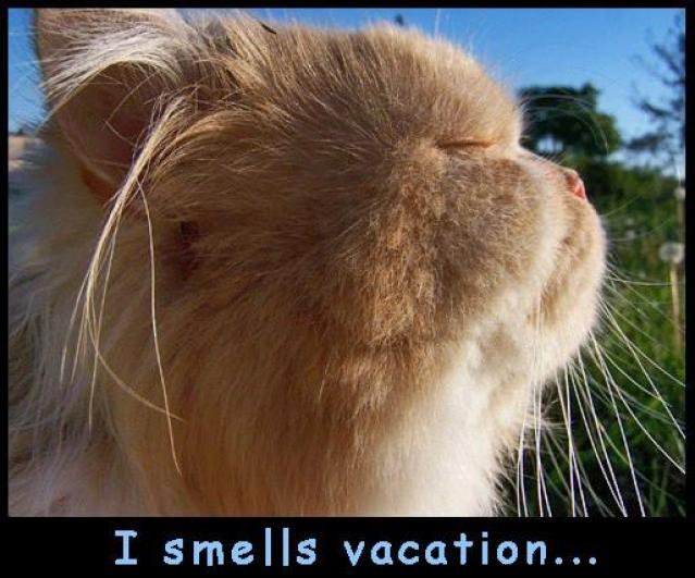 ᐅ eindelijk vakantie grappig - Vakantie Plaatjes en Gifs plaatjes ᐅ eindelijk vakantie grappig - Vakantie Plaatjes en Gifs plaatjes