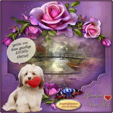 ᐅ fijne avond bloemen - Fijne avond plaatjes ᐅ fijne avond bloemen - Fijne avond plaatjes