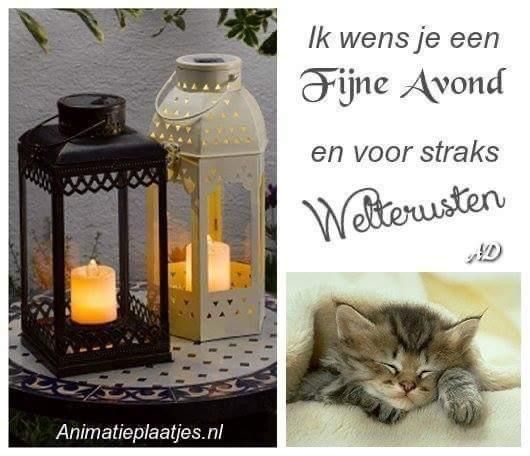 ᐅ fijne avond en welterusten - Fijne avond plaatjes ᐅ fijne avond en welterusten - Fijne avond plaatjes