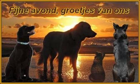 ᐅ fijne avond groetjes - Fijne avond plaatjes ᐅ fijne avond groetjes - Fijne avond plaatjes