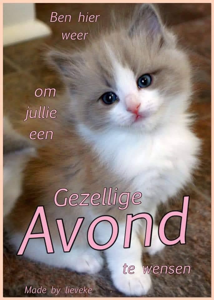 ᐅ fijne avond lieverd - Fijne avond plaatjes ᐅ fijne avond lieverd - Fijne avond plaatjes