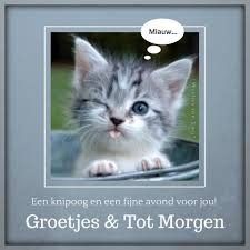 ᐅ fijne avond tot morgen - Fijne avond plaatjes