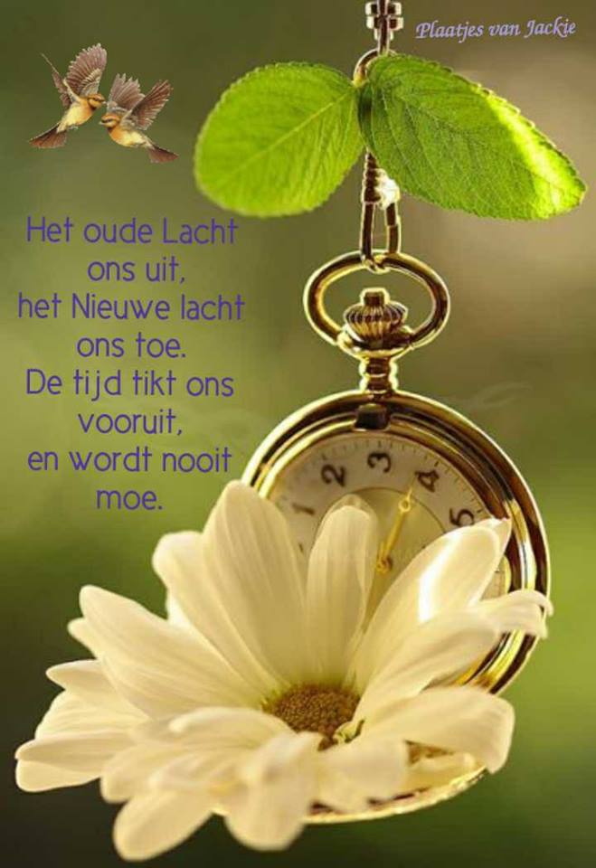 ᐅ fijne dag gewenst - Fijne Dag plaatjes