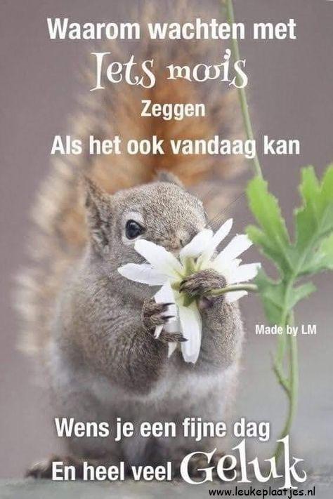 ᐅ fijne dag lieverd - Fijne Dag plaatjes