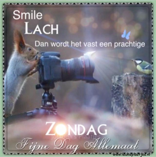 ᐅ fijne dag lieverd - Fijne Dag plaatjes