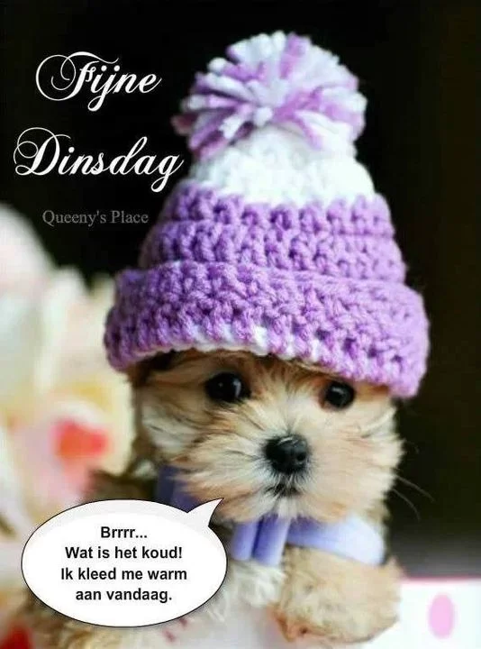 ᐅ fijne dinsdag winter - Dinsdag plaatjes