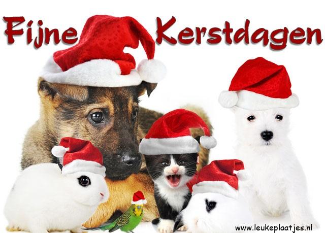 ᐅ fijne kerstdagen - Nieuwjaar plaatjes plaatjes ᐅ fijne kerstdagen - Nieuwjaar plaatjes plaatjes