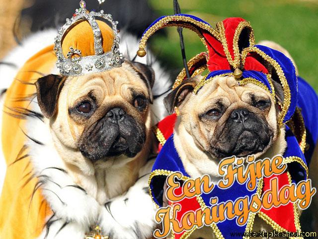 ᐅ fijne koningsdag humor - Koningsdag plaatjes ᐅ fijne koningsdag humor - Koningsdag plaatjes