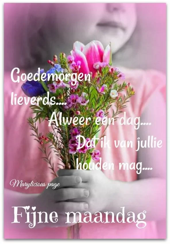 ᐅ fijne maandag - Maandag plaatjes ᐅ fijne maandag - Maandag plaatjes