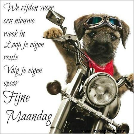 ᐅ fijne maandag nieuwe week - fijne maandag nieuwe week plaatjes