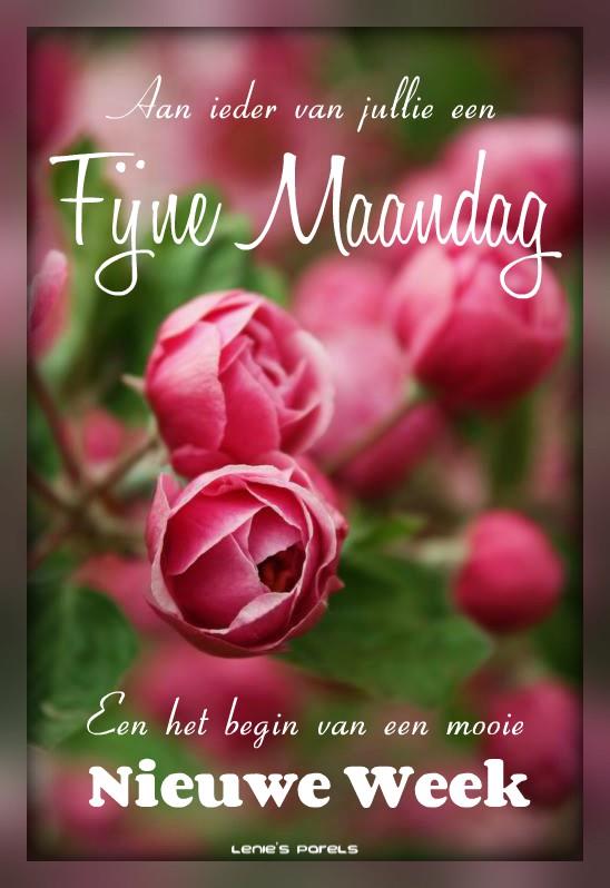 ᐅ fijne maandag nieuwe week - Maandag plaatjes ᐅ fijne maandag nieuwe week - Maandag plaatjes