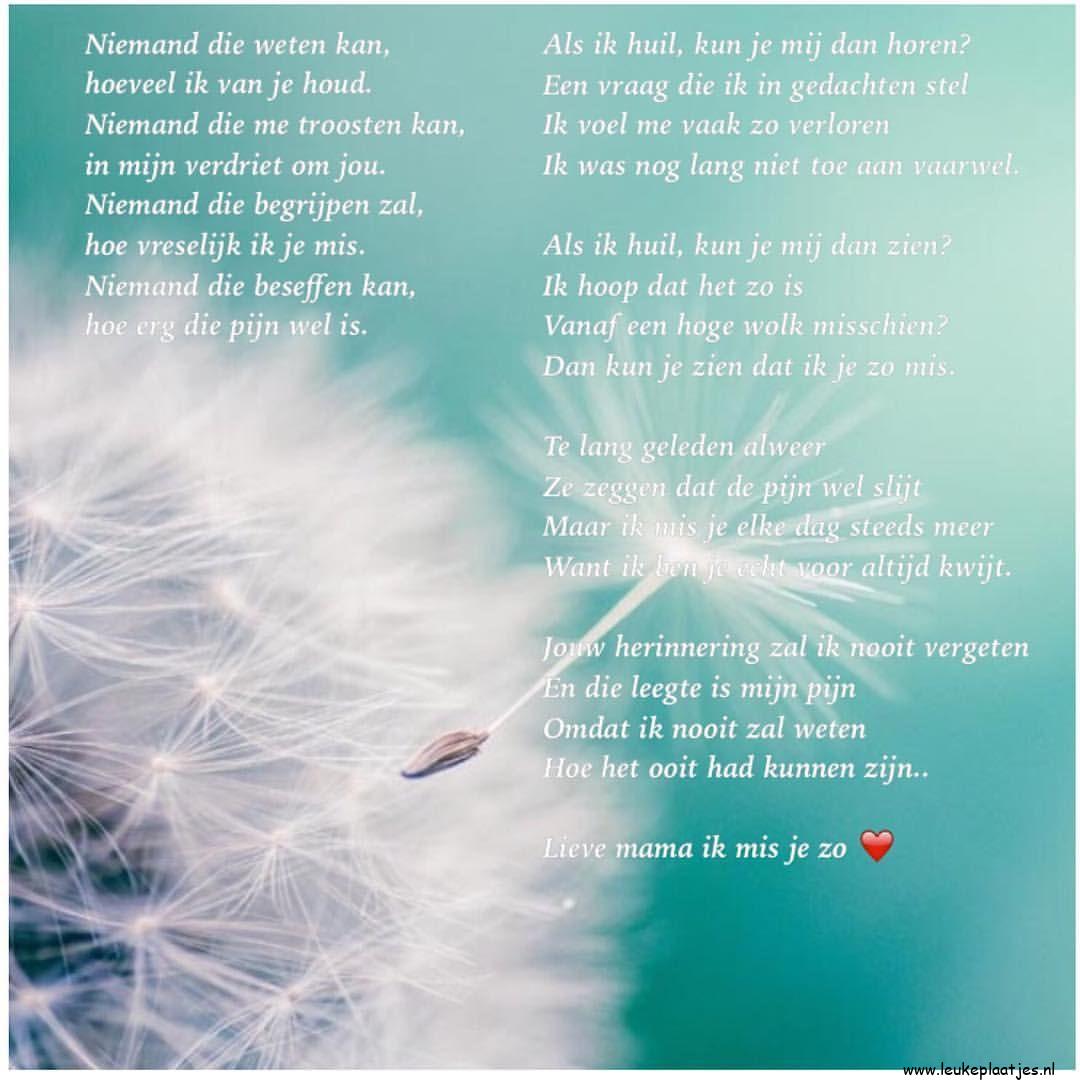 ᐅ fijne moederdag in de hemel - Moederdag plaatjes ᐅ fijne moederdag in de hemel - Moederdag plaatjes