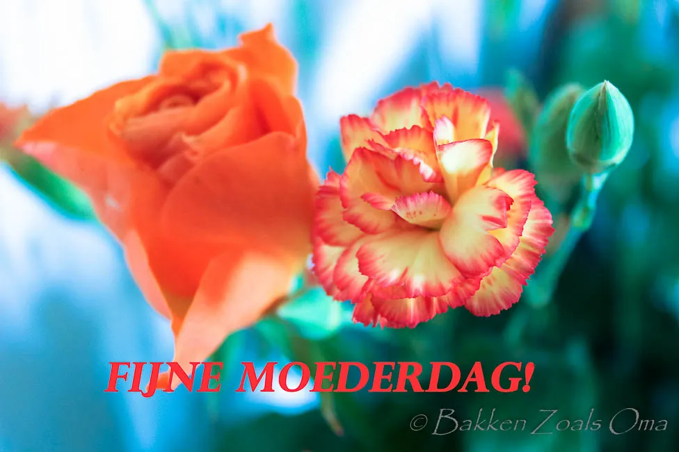 ᐅ fijne moederdag voor alle moeders - Moederdag plaatjes