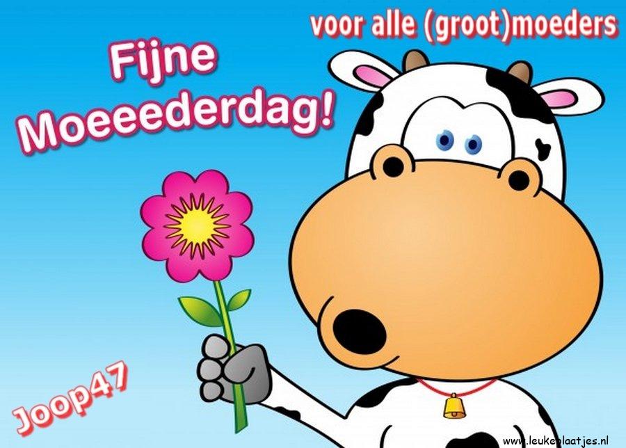 ᐅ fijne moederdag voor alle moeders - Moederdag plaatjes