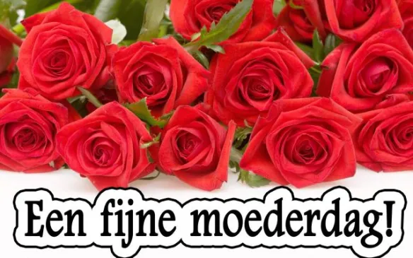 ᐅ fijne moederdag voor alle moeders - Moederdag plaatjes