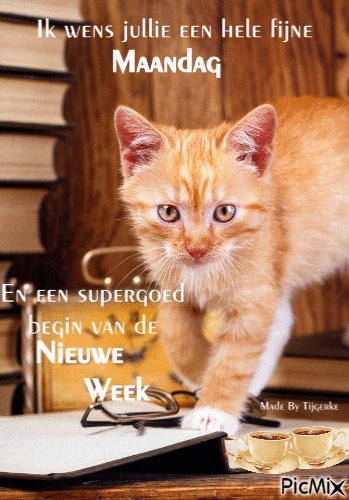 ᐅ fijne nieuwe week - Fijne week plaatjes