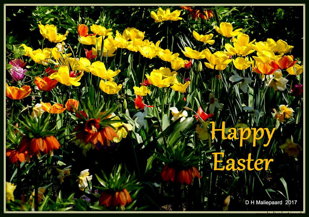 ᐅ fijne paasdagen - Pasen Plaatjes en Gifs plaatjes ᐅ fijne paasdagen - Pasen Plaatjes en Gifs plaatjes