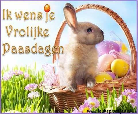 ᐅ fijne paasdagen wensen - Pasen Plaatjes en Gifs plaatjes ᐅ fijne paasdagen wensen - Pasen Plaatjes en Gifs plaatjes