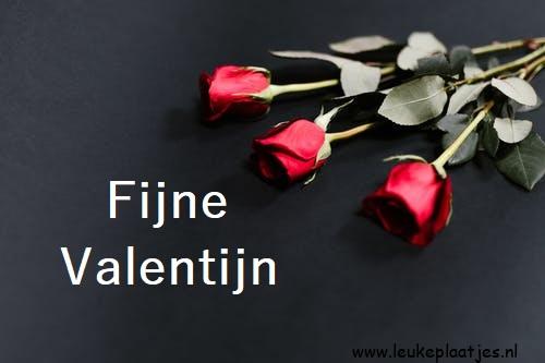 ᐅ fijne valentijnsdag vriendschap - Valentijnsdag plaatjes ᐅ fijne valentijnsdag vriendschap - Valentijnsdag plaatjes