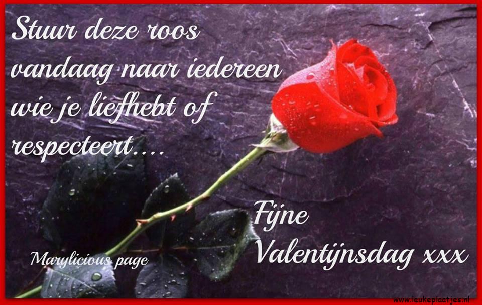 ᐅ fijne valentijnsdag wensen - Valentijnsdag plaatjes ᐅ fijne valentijnsdag wensen - Valentijnsdag plaatjes