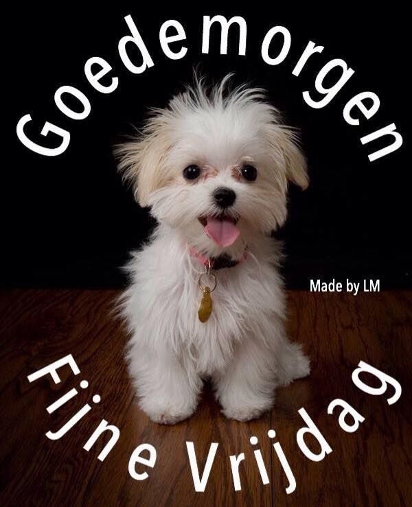 ᐅ fijne vrijdag - Vrijdag plaatjes ᐅ fijne vrijdag - Vrijdag plaatjes