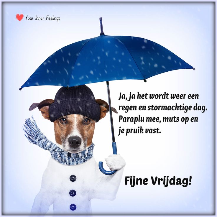 ᐅ fijne vrijdag - Vrijdag plaatjes ᐅ fijne vrijdag - Vrijdag plaatjes