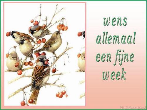 ᐅ fijne week tekst - Fijne week plaatjes ᐅ fijne week tekst - Fijne week plaatjes