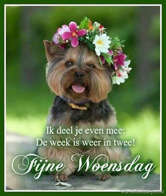 ᐅ fijne woensdag - Woensdag plaatjes