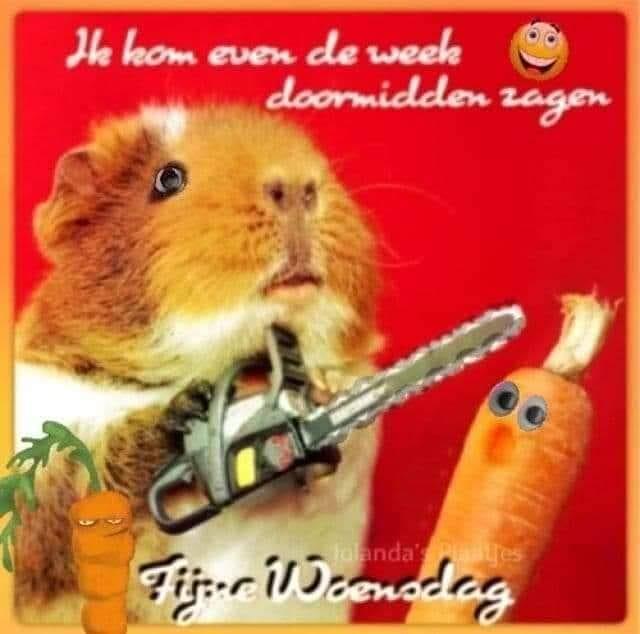 ᐅ fijne woensdag groetjes - Woensdag plaatjes