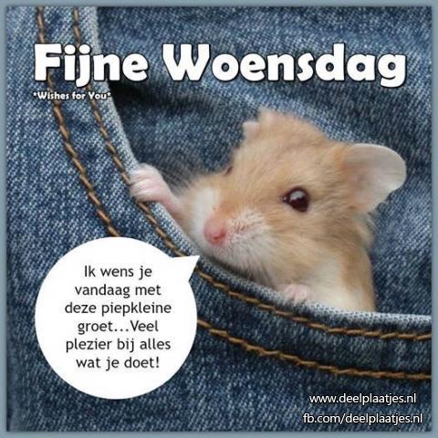 ᐅ fijne woensdag kerst - Woensdag plaatjes
