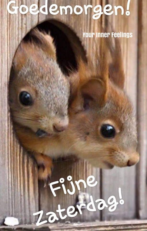 ᐅ fijne zaterdag humor - Zaterdag plaatjes ᐅ fijne zaterdag humor - Zaterdag plaatjes