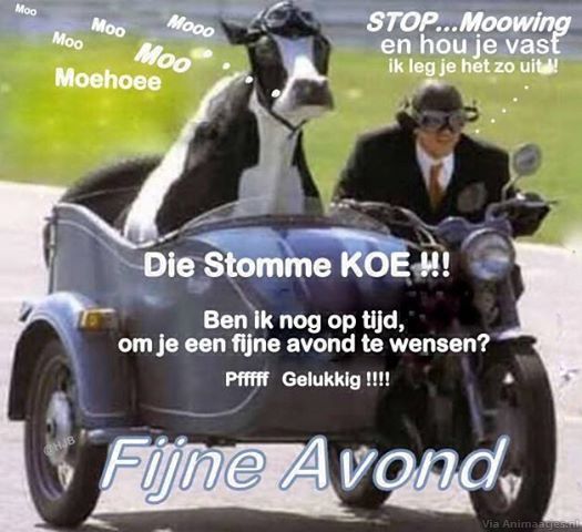 ᐅ fijne zaterdagavond - Zaterdag plaatjes