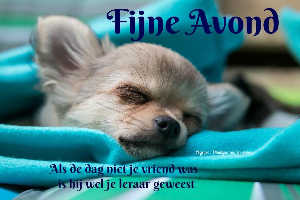 ᐅ fijne zaterdagavond - Zaterdag plaatjes