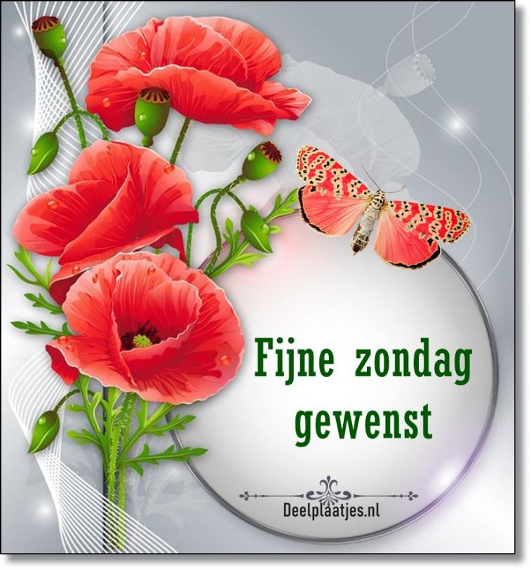 ᐅ fijne zondag - Zondag plaatjes
