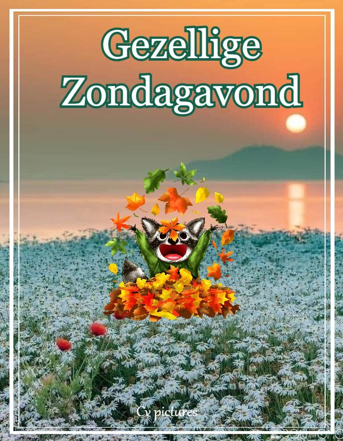 ᐅ fijne zondagavond - Zondag plaatjes ᐅ fijne zondagavond - Zondag plaatjes