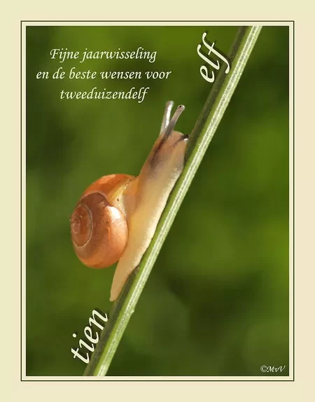 ᐅ fijne zondagavond - Zondag plaatjes ᐅ fijne zondagavond - Zondag plaatjes