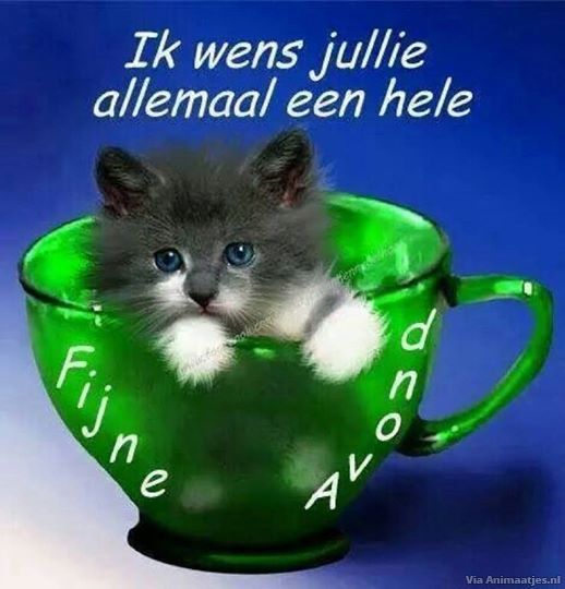 ᐅ fijne zondagavond - Zondag plaatjes ᐅ fijne zondagavond - Zondag plaatjes